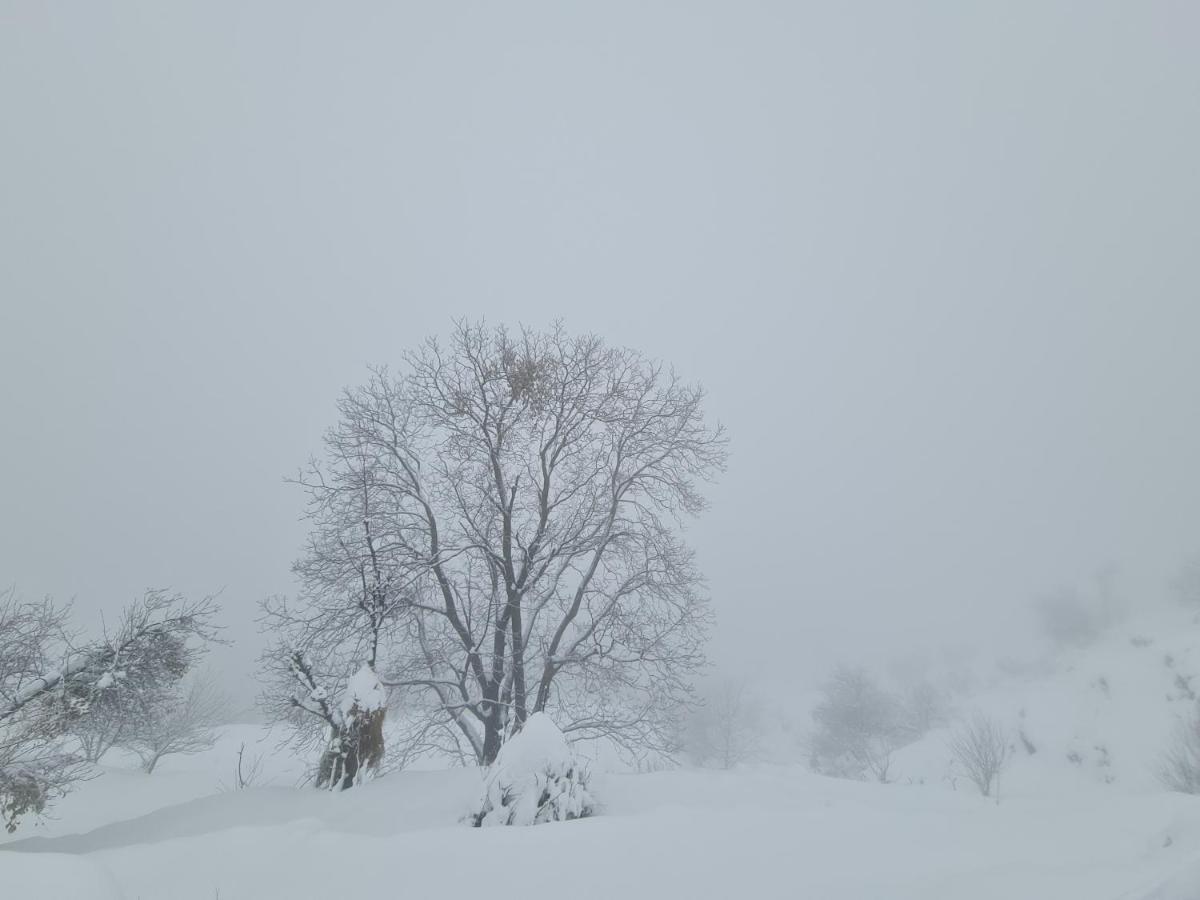 The Kanatal Arbour Канатал Екстериор снимка